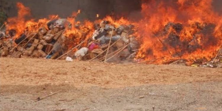 NDLEA Destroys Largest Drugs Seizure Of 1.6 Million Kilograms