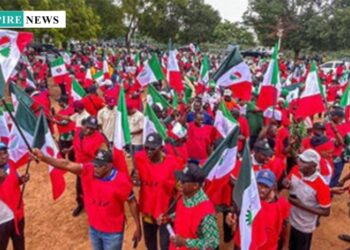 Only Consistent Action Can Protect Domestic Workers, Expert Tells NLC, TUC