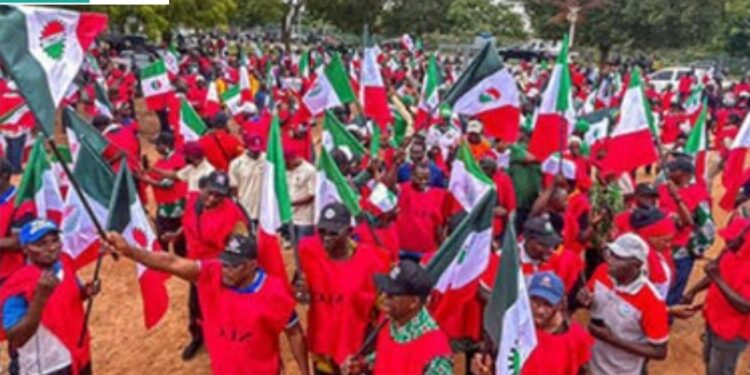 Only Consistent Action Can Protect Domestic Workers, Expert Tells NLC, TUC
