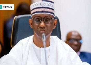 Stop paying ransom to bandits, kidnappers, NSA urge Nigerians