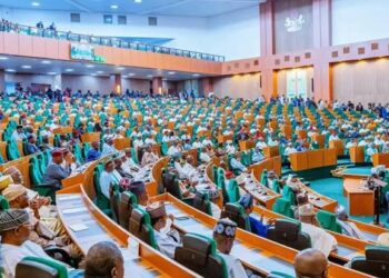 House of Reps probes N200 billion CBN loan to DisCos