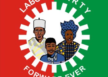Labour Party loses more chieftains to Enugu PDP in recent defection