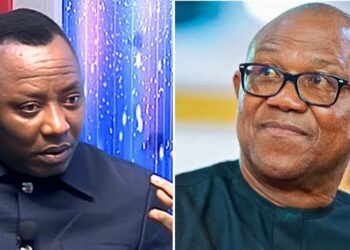 Peter Obi, Omoyele Sowore in a war of words in subtle verbal contests.
