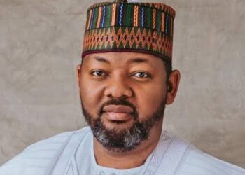 2027: APC Chieftain Dispels ‘Malicious Rumours’ Of Plans To Substitute Shettima 