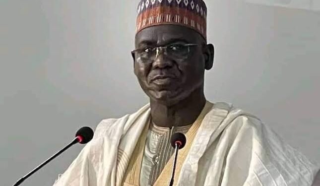 Tinubu can improve Nigeria’s security by 2027 – Ex Army Chief Buratai