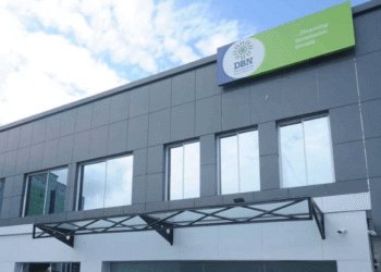 Development bank disbursed N1 trillion to MSMEs – MD