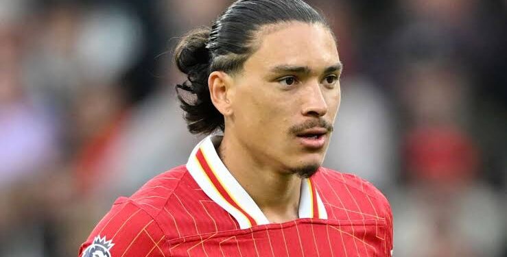 Napoli Eye Darwin Nunez Transfer to Strengthen Attack for 2025 Serie A Title Defense