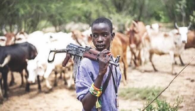 Herdsmen Attack In Abia Community Leaves Many Dead.