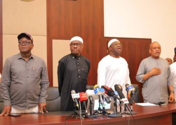 PDP stakeholders reaffirm Wike loyalist Anyawu as substantive national secretary