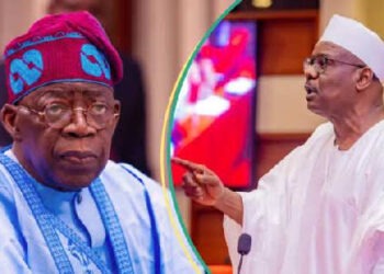 Presidency slams senator over reckless statement on TV.