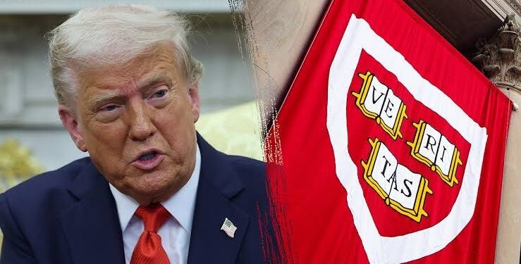 Federal Judge Stops Trump from Revoking Harvard’s Right to admitting International Students