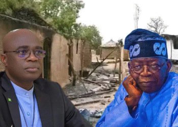 Tinubu blames Governor Alia for Benue Massacre