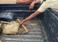Police Launch Manhunt for Suspect Over Alleged Murder in Kogi