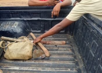 Police Launch Manhunt for Suspect Over Alleged Murder in Kogi 