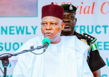 Shettima’s remarks at book launch not about Fubara’s suspension — Presidency