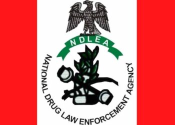 NDLEA Arrests Drug Kingpin in Lagos, Seizes Cocaine and Methamphetamine