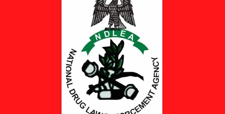 NDLEA Arrests Drug Kingpin in Lagos, Seizes Cocaine and Methamphetamine