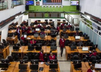Nigerian Stock Market Gains N833bn as Dangote, BUA Lead Rally