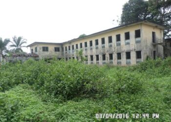 The Rise And Fall Of Sports Institute, Isaka
