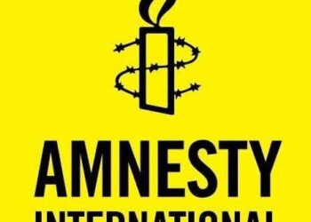 Amnesty International’s report on Nigeria mischievous, misleading – pro-APC group, NDMG