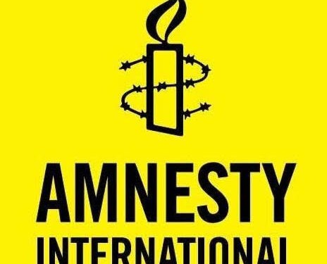Amnesty International’s report on Nigeria mischievous, misleading – pro-APC group, NDMG