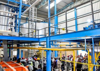 Largest shea butter refinery in Africa begins operation in Niger State