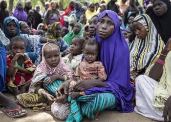 Child hunger and deaths in Katsina nine times worse than Gaza — Experts