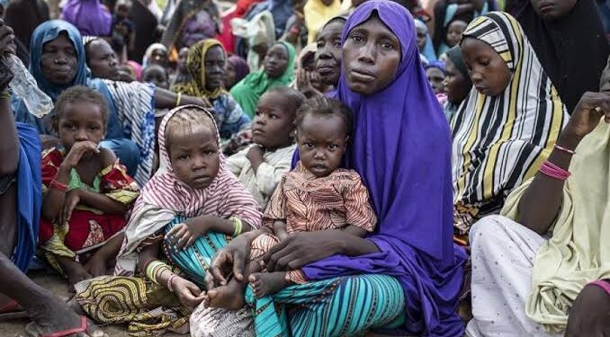 Child hunger and deaths in Katsina nine times worse than Gaza — Experts