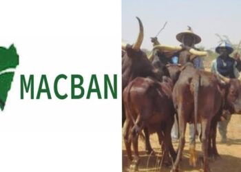 ‘Fulani herdsmen suffer more attacks’ – Miyetti Allah replies El-Buba
