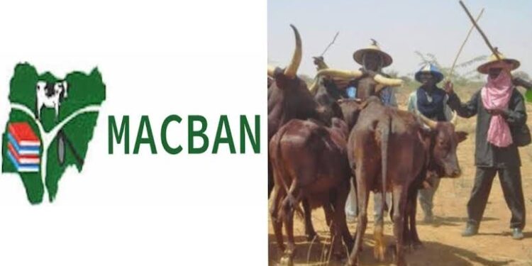 ‘Fulani herdsmen suffer more attacks’ – Miyetti Allah replies El-Buba