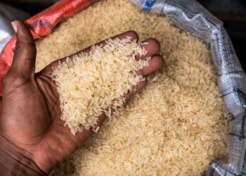 Rice farmers blame middlemen for continuous price hike