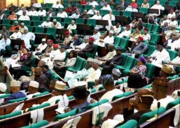 Mixed reactions trail proposed citizenship by investment bill in Nigeria’s green chamber