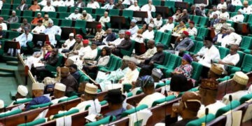 Mixed reactions trail proposed citizenship by investment bill in Nigeria’s green chamber