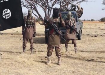 Boko Haram kills one, burn several homes in Borno community