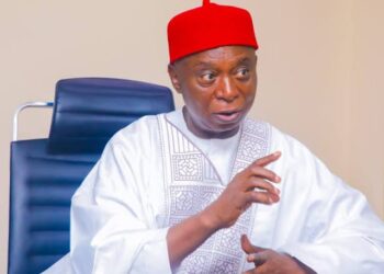 I am not taking a new wife — Senator Ned Nwoko
