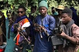 US ex-Army Captain disclose factor responsible for insecurity in Nigeria