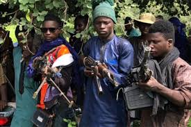 US ex-Army Captain disclose factor responsible for insecurity in Nigeria