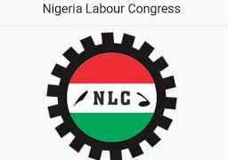 ASUU strike: NLC to meet as ultimatum to FG expires today