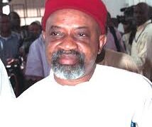Ngige attends APC National Caucus hours after bail