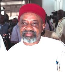 Ngige attends APC National Caucus hours after bail