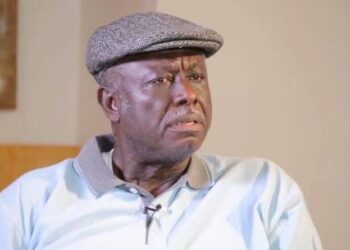 PDP crisis: There’s hope despite disagreements – Party chieftain, Ogidi