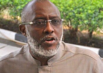 How Tinubu begged me to join APC – Olisa Metuh