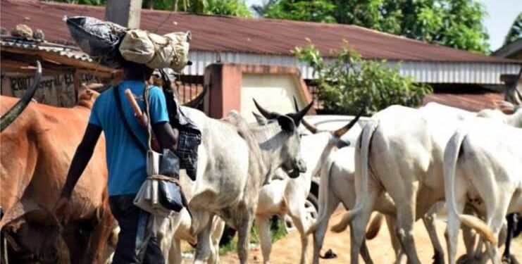 Herders influx in Benue communities spreads fear over security concern