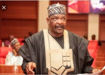 Air strikes: US must answer for violating Nigeria’s territorial integrity – Senator Ningi