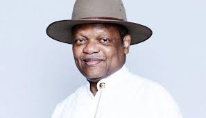 Why terrorism, banditry on the rise in Nigeria – Peterside