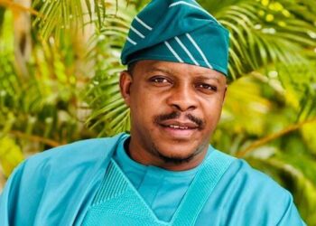 Impeachment plot: How APC betrayed Gov Fubara — Austin Okai