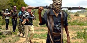Katsina: Bandits attack villages amid planned release of suspects