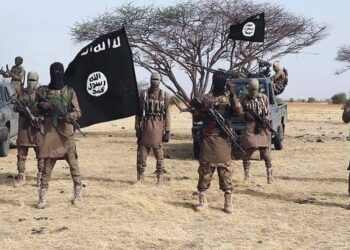 ISWAP burns Christian village in Adamawa Nigeria