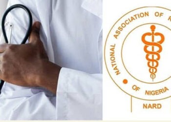 NARD suspends strike after meeting VP Shettima