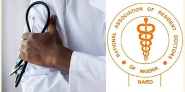 NARD suspends strike after meeting VP Shettima